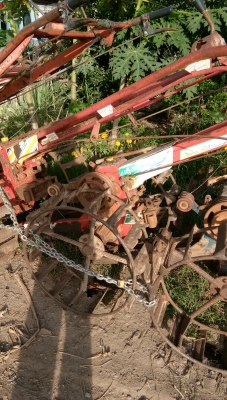 ตัวนร้งเพชร.เหลืออีกสอง.ตัวนะครับ..ขายไปบ้างแล้วครับ