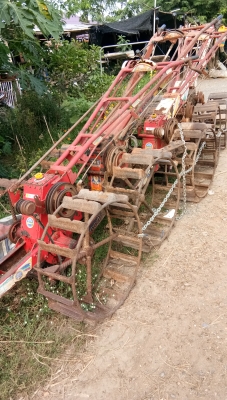 ตัวนร้งเพชร.เหลืออีกสอง.ตัวนะครับ..ขายไปบ้างแล้วครับ