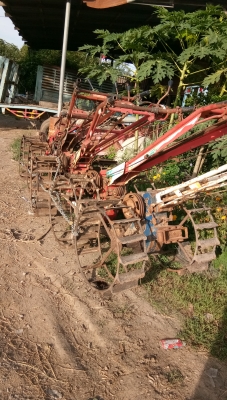 ตัวนร้งเพชร.เหลืออีกสอง.ตัวนะครับ..ขายไปบ้างแล้วครับ