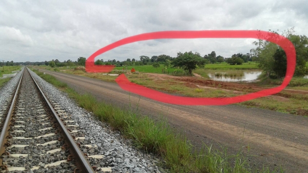 ขายที่นา บัวใหญ่ โคราช 13ไร่ ขายที่นา บัวใหญ่ โคราช 13ไร่