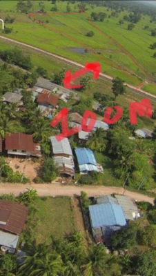 ขายที่นา บัวใหญ่ โคราช 13ไร่ ขายที่นา บัวใหญ่ โคราช 13ไร่