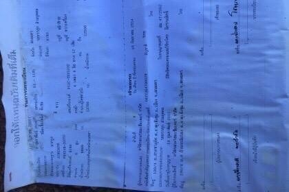 ขาย 895,000 บาท HINO PROFIA 12 ล้อ 2 เพลา เครื่อง P11C-320 แรง หัวบาง ยางดี คัสชีสวย เอกสารเล่มทะเบียน  รถอยู่  นครพนม  090-772-3710 090-772-3708