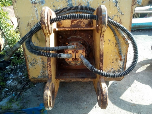 ขาย บุ้งกี๋ติดหัวกัด