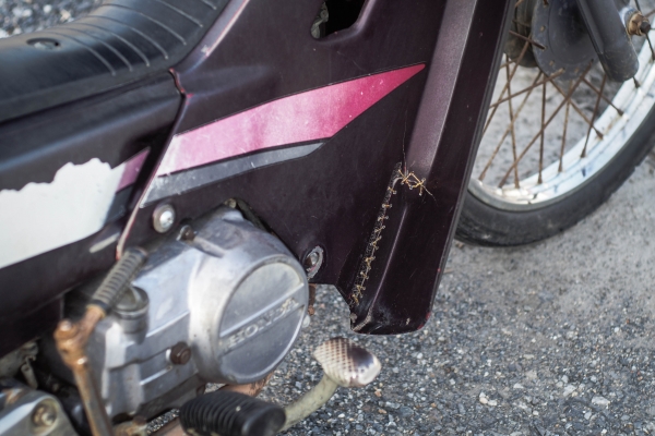 Honda Dream Exces 100 ทะเบียนโอน