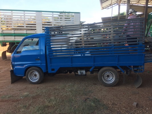 รถ4ล้อบรรทุกสวยๆถูกๆ