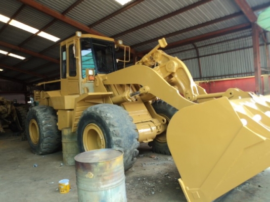 ละอองดาวแทรคเตอร์ ขายรถตักล้อยาง CAT 950 F2