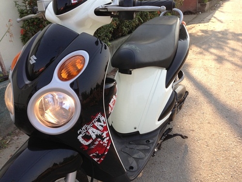 ขายjelatoสีดำปี2554