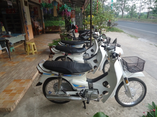 หนุ่ม ปราจีน : ขาย Dream คุรุสภาสีขาวสวยๆ ทะเบียนโอน