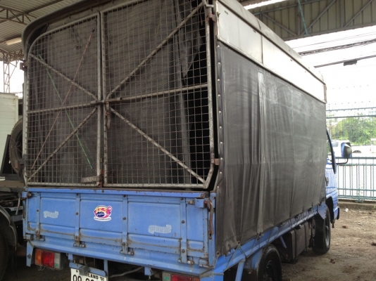 ขายรถบรรทุก 4 ล้อ Isuzu NKR ปี 47 (รถห้าง) เอกสารพร้อมโอน ภาษีเต็ม ขายรถบรรทุก 4 ล้อ Isuzu NKR ปี 47 (รถห้าง) เอกสารพร้อมโอน ภาษีเต็ม