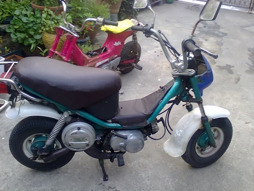 ชาลี+ชิปปี๊ aoto ขับได้ทั้งคู๋ สองคั้น 15000    0819306939  เหมาหมูนอกคอก โลตัส สมุทรสาครมาหมูนอกคอก โลตัส สมุทรสาคร