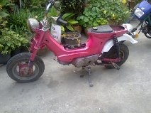 ชาลี+ชิปปี๊ aoto ขับได้ทั้งคู๋ สองคั้น 15000    0819306939  เหมาหมูนอกคอก โลตัส สมุทรสาครมาหมูนอกคอก โลตัส สมุทรสาคร