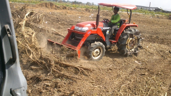 ขาย ยัมม่า 45 สภาพใช้งานประจํา ใบมีด