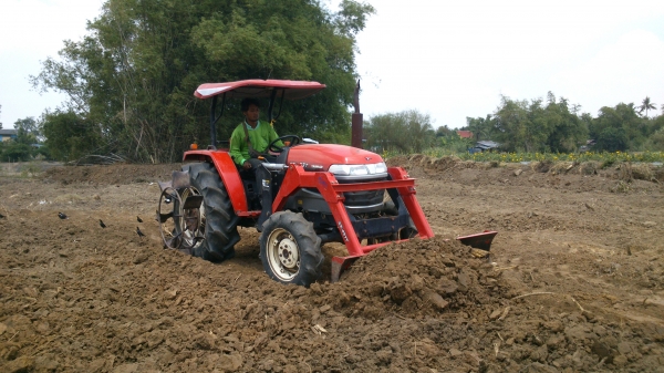 ขาย ยัมม่า 45 สภาพใช้งานประจํา ใบมีด