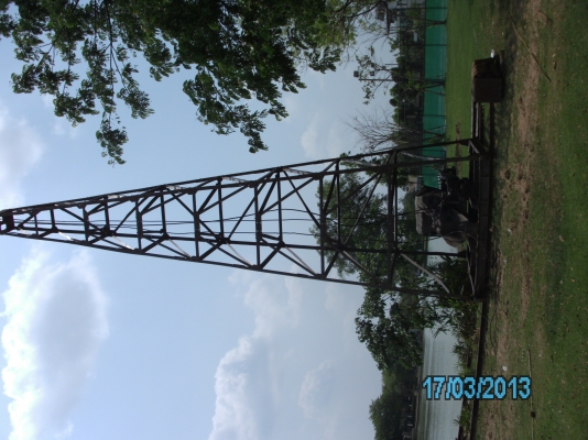 ฝากขายปั้นจั่นพร้อมใช้งานสักตัว ฝากขายปั้นจั่นพร้อมใช้งานสักตัว