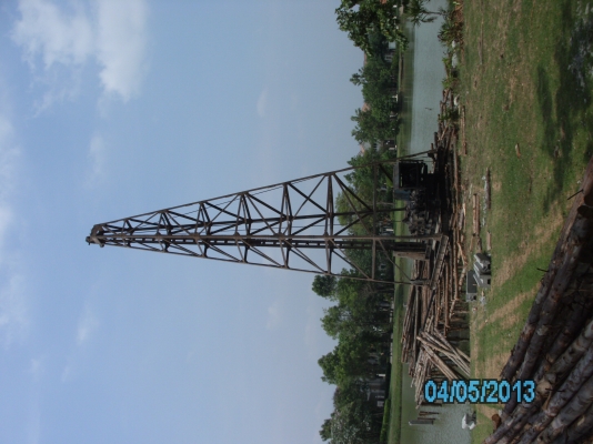 ฝากขายปั้นจั่นพร้อมใช้งานสักตัว ฝากขายปั้นจั่นพร้อมใช้งานสักตัว