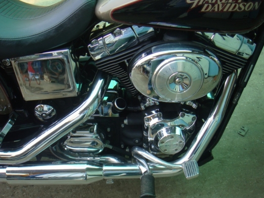 ขาย Harley Dyna Low ปี 05 ขาย Harley Dyna Low ปี 05
