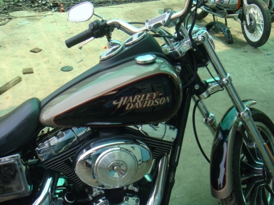 ขาย Harley Dyna Low ปี 05 ขาย Harley Dyna Low ปี 05