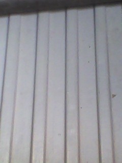 ขายรถมาสด้า 1400 ขายรถมาสด้า 1400