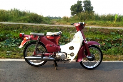 ขาย c65 สีหวานๆ สวยๆ เครื่อง lifan อินวอย ถังแยก ถูกๆ 16900 0819884773