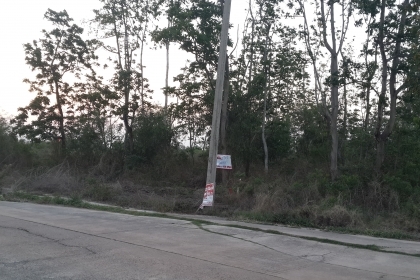 ที่ดินเปล่า