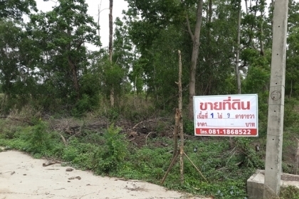 ที่ดินเปล่า