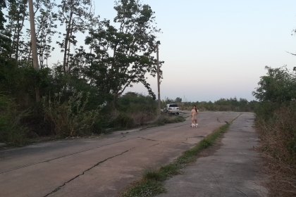 ที่ดินเปล่า ที่ดินเปล่า