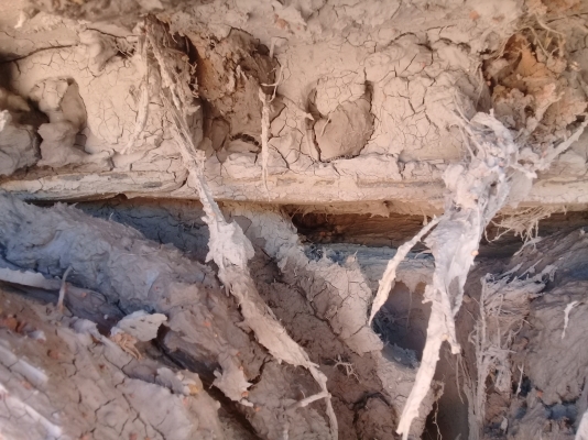 ขายรถ แบคโฮ KOBELCO SK200-3