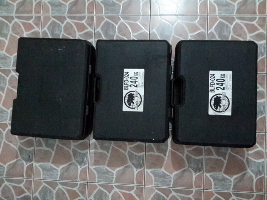 ขายเหมา  รอกโซ่ไฟฟ้า Black Bear กำลังยก 240kg ไฟ 220v