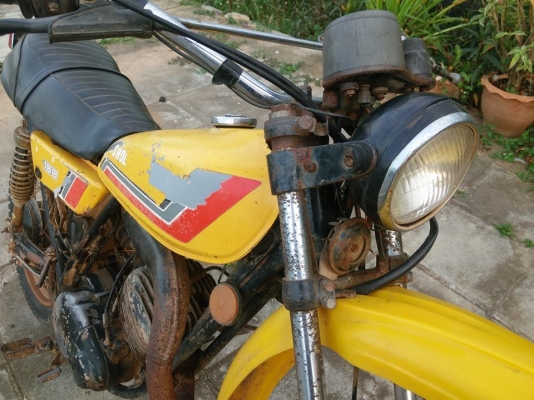 ขายแล้ว ขายแล้ว