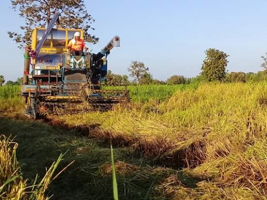 ขายรถเกี่ยวข้าว