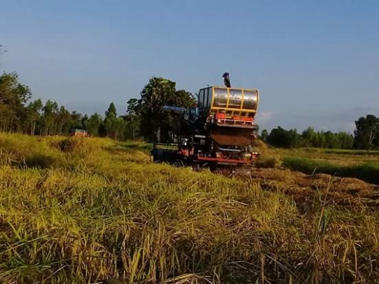 ขายรถเกี่ยวข้าว ขายรถเกี่ยวข้าว