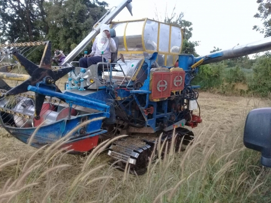 ขายรถเกี่ยวข้าว ขายรถเกี่ยวข้าว