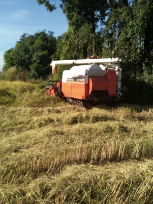 ขายรถเกี่ยวข้าวdc68 g ปี 54 พร้อมใช้งาน เอกสารพร้อมโอน เจ้าของขายเองต่อรองครับ