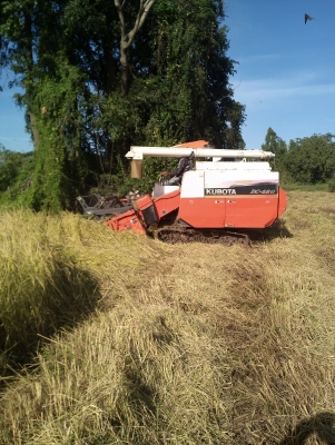 ขายรถเกี่ยวข้าวdc68 g ปี 54 พร้อมใช้งาน เอกสารพร้อมโอน เจ้าของขายเองต่อรองครับ