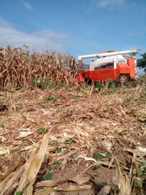 ขายรถเกี่ยวข้าวdc68 g ปี 54 พร้อมใช้งาน เอกสารพร้อมโอน เจ้าของขายเองต่อรองครับ