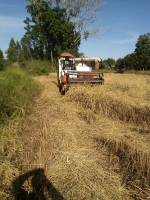 ขายรถเกี่ยวข้าวdc68 g ปี 54 พร้อมใช้งาน เอกสารพร้อมโอน เจ้าของขายเองต่อรองครับ