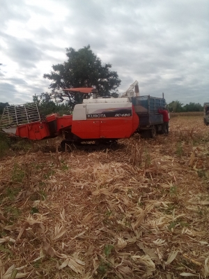 ขายรถเกี่ยวข้าวdc68 g ปี 54 พร้อมใช้งาน เอกสารพร้อมโอน เจ้าของขายเองต่อรองครับ