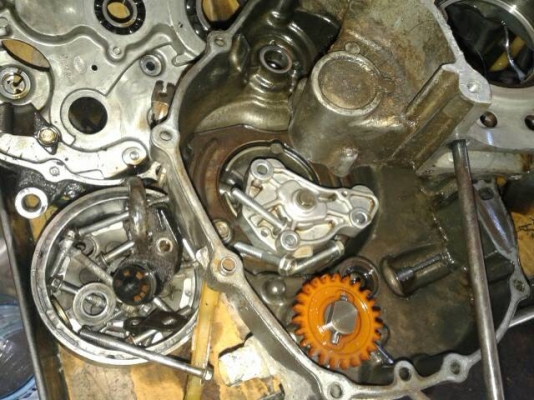 อะไหล่ sonicมีตามรูป