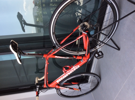 ขายเสือหมอบ