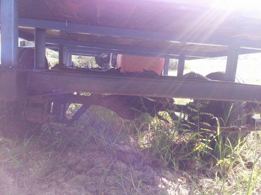 อีแต๋นพื้นเรียบพร้อมใช้งาน