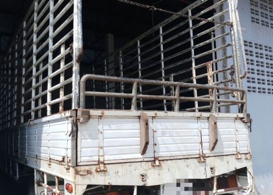 หกลัอ อิชูชุ FRR 210ปี54 ช่วงยาว 6.50ม.รถห้าง สภาพดีสวยบางเดิมพร้อมใช้งาน ทะเบียนพร้อมโอน หกลัอ อิชูชุ FRR 210ปี54 ช่วงยาว 6.50ม.รถห้าง สภาพดีสวยบางเดิมพร้อมใช้งาน ทะเบียนพร้อมโอน