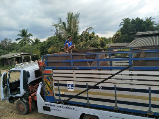 ขายกระบะปิเนียมดั้ม