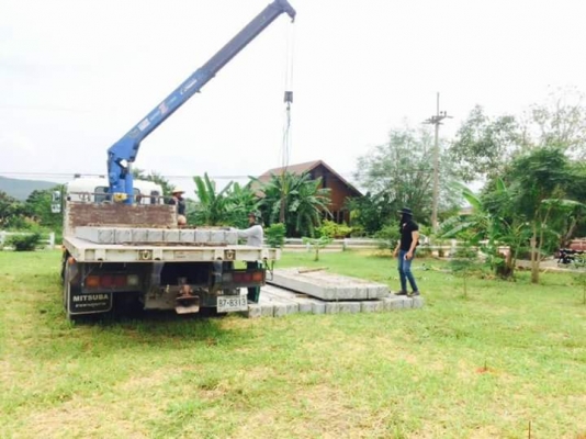 รับซื้อปั้นจั่น 085-7666984 ทุกขนาด