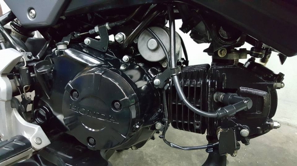 ขออนุญาตขาย HONDA MSX NEW 125SF อายุรถ 11 เดือน ปี 2560 รุ่นล่าสุดไมล์แท้วิ่ง 8,XXX KM ฟรีค่าโอน