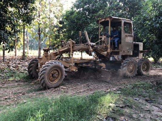 ขายรถเกรด