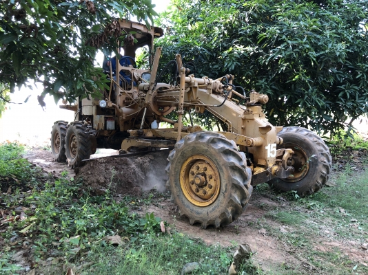 ขายรถเกรด