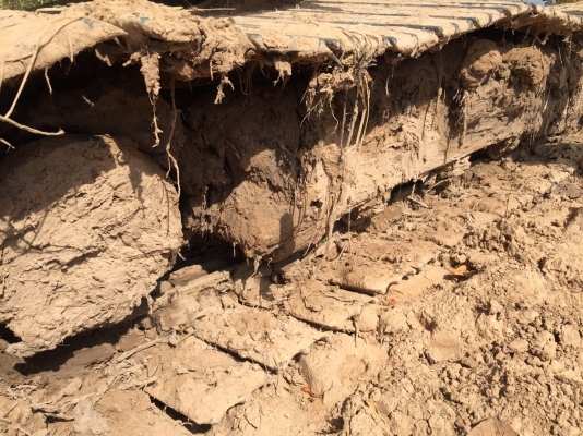 ขาย 465,000 เก่านอก KOMATSU PC78US-6 ทำงาน 9,xxx ชม เครื่องดี ปั้มแรง โช่หนา. เอวแน่น. ไฟฟ้าครบ แอร์เย็น เอกสารเล่มทะเบียน รถอยู่ จ.สุรินทร์ โทร&ไอดีไลน์ 0610710295 ขาย 465,000 เก่านอก KOMATSU PC78US-6 ทำงาน 9,xxx ชม เครื่องดี ปั้มแรง โช่หนา. เอวแน่น. ไฟฟ้าครบ แอร์เย็น เอกสารเล่มทะเบียน รถอยู่ จ.สุรินทร์ โทร&ไอดีไลน์ 0610710295