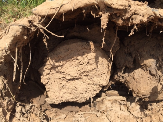 ขาย 465,000 เก่านอก KOMATSU PC78US-6 ทำงาน 9,xxx ชม เครื่องดี ปั้มแรง โช่หนา. เอวแน่น. ไฟฟ้าครบ แอร์เย็น เอกสารเล่มทะเบียน รถอยู่ จ.สุรินทร์ โทร&ไอดีไลน์ 0610710295 ขาย 465,000 เก่านอก KOMATSU PC78US-6 ทำงาน 9,xxx ชม เครื่องดี ปั้มแรง โช่หนา. เอวแน่น. ไฟฟ้าครบ แอร์เย็น เอกสารเล่มทะเบียน รถอยู่ จ.สุรินทร์ โทร&ไอดีไลน์ 0610710295