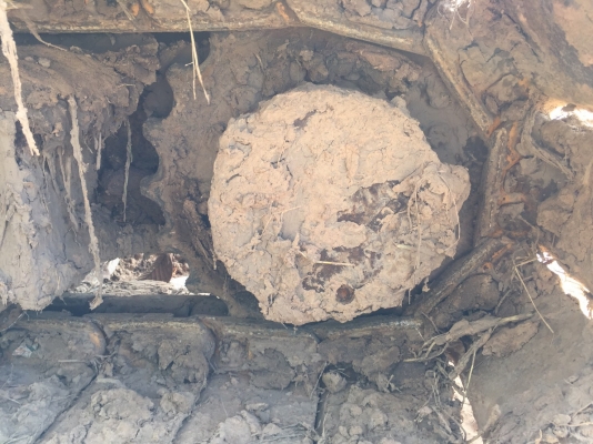 ขาย 465,000 เก่านอก KOMATSU PC78US-6 ทำงาน 9,xxx ชม เครื่องดี ปั้มแรง โช่หนา. เอวแน่น. ไฟฟ้าครบ แอร์เย็น เอกสารเล่มทะเบียน รถอยู่ จ.สุรินทร์ โทร&ไอดีไลน์ 0610710295 ขาย 465,000 เก่านอก KOMATSU PC78US-6 ทำงาน 9,xxx ชม เครื่องดี ปั้มแรง โช่หนา. เอวแน่น. ไฟฟ้าครบ แอร์เย็น เอกสารเล่มทะเบียน รถอยู่ จ.สุรินทร์ โทร&ไอดีไลน์ 0610710295