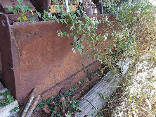 ขาย 550,000 บาท CATTERPILAR D6H (ไม่มีเครื่อง-เกียร์). โช่หนา แผ่นสวย เอกสารเล่มทะเบียน รถอยู่ จ.ปราจีนบุรี โทร&ไอดีไลน์ 0610710295 ขาย 550,000 บาท CATTERPILAR D6H (ไม่มีเครื่อง-เกียร์). โช่หนา แผ่นสวย เอกสารเล่มทะเบียน รถอยู่ จ.ปราจีนบุรี โทร&ไอดีไลน์ 0610710295